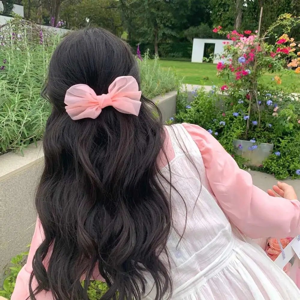 不死者之王剧场版圣王国篇